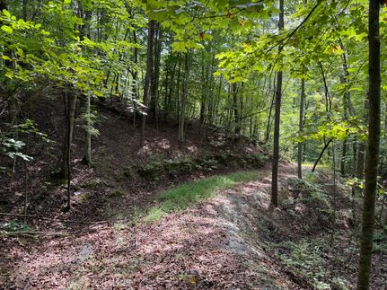 Undeveloped Land for sale in Pickens County, Georgia