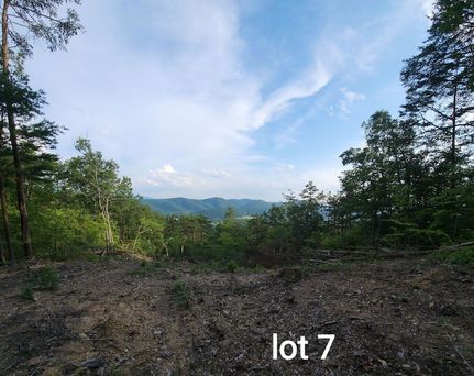 Undeveloped Land for sale in Montgomery County, Virginia