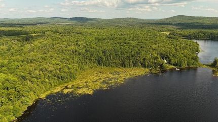 Timberland Property for sale in Piscataquis County, Maine