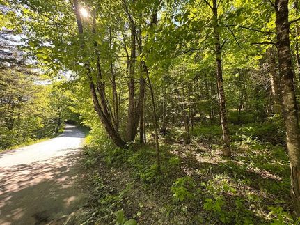 Timberland Property for sale in Washington County, Vermont
