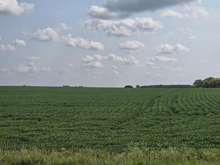 Undeveloped Land for sale in Stevens County, Minnesota