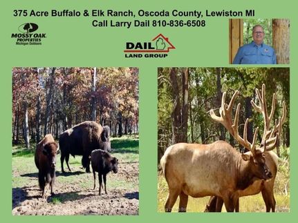 Land for sale in Oscoda County, Michigan