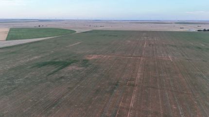 Farm and Ranch for sale in Bailey County, Texas