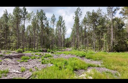 Timberland Property for sale in George County, Mississippi
