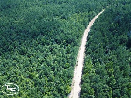 Land for sale in Marengo County, Alabama