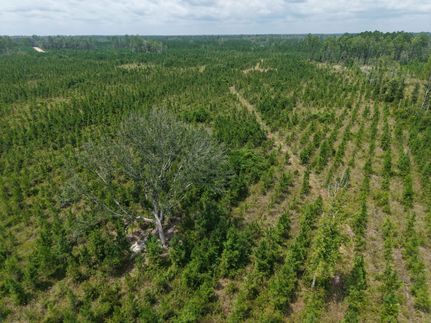 Timberland Property for sale in Camden County, Georgia
