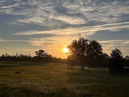 Land for sale in Candler County, Georgia