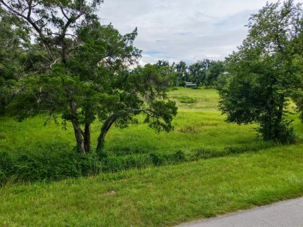 Farm and Ranch for sale in Lafayette County, Florida