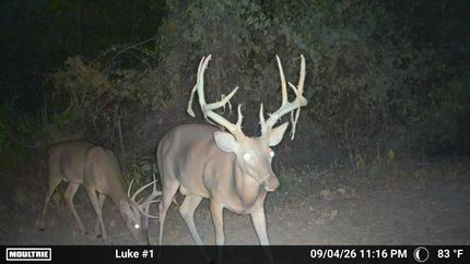 Land for sale in Howard County, Arkansas