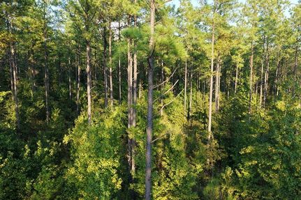 Farm and Ranch for sale in Oktibbeha County, Mississippi