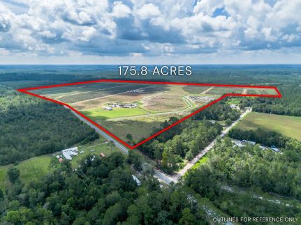 Farm and Ranch for sale in Appling County, Georgia