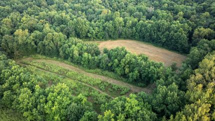 Timberland Property for sale in Clark County, Missouri
