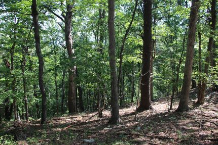 Timberland Property for sale in Page County, Virginia