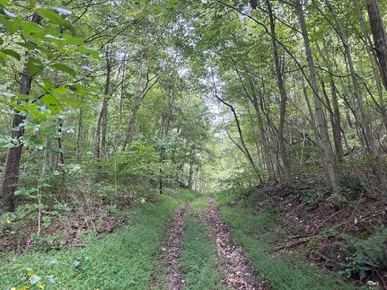 Land for sale in Coshocton County, Ohio