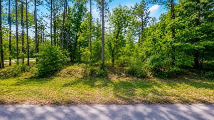 Undeveloped Land for sale in Marion County, Florida
