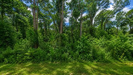 Undeveloped Land for sale in Cherokee County, Texas