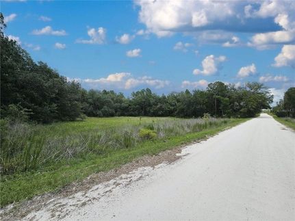 Land for sale in Levy County, Florida