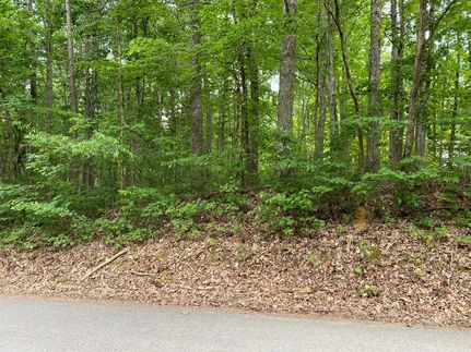 Land for sale in Sequatchie County, Tennessee