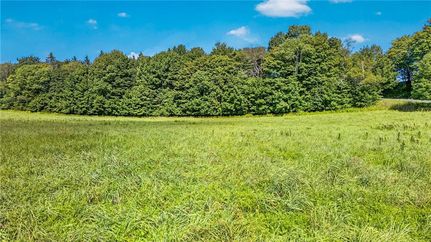 Undeveloped Land for sale in Otsego County, New York