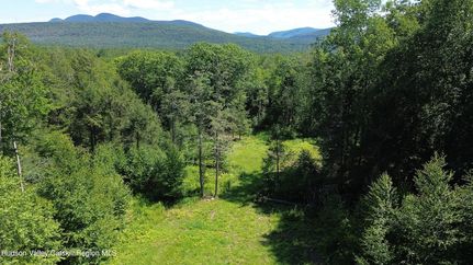 Undeveloped Land for sale in Greene County, New York