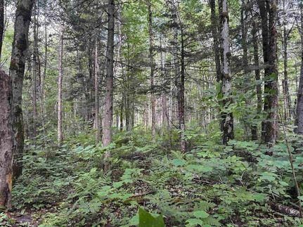 Undeveloped Land for sale in Essex County, Vermont