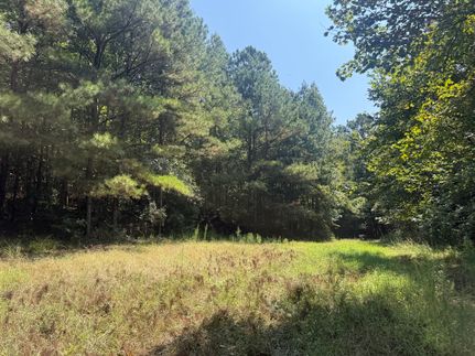 Undeveloped Land for sale in Tuscaloosa County, Alabama