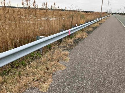 Timberland Property for sale in Cape May County, New Jersey