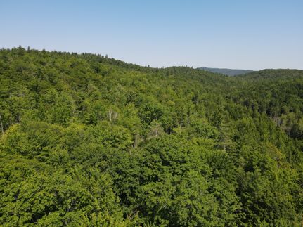 Undeveloped Land for sale in Windham County, Vermont