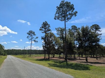 Land for sale in Suwannee County, Florida