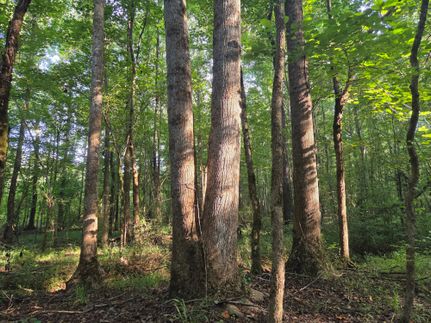 Recreational Property for sale in Lee County, Alabama