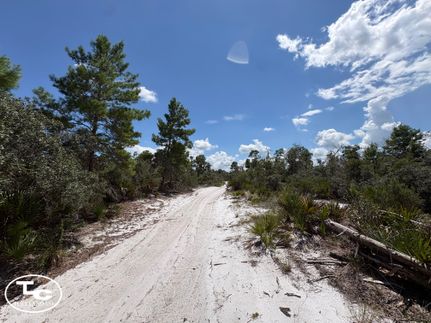 Land for sale in Highlands County, Florida