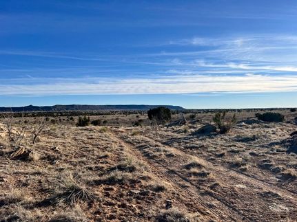 Land for sale in San Miguel County, New Mexico