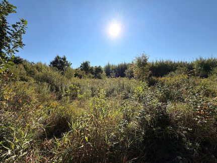 Recreational Property for sale in Mille Lacs County, Minnesota