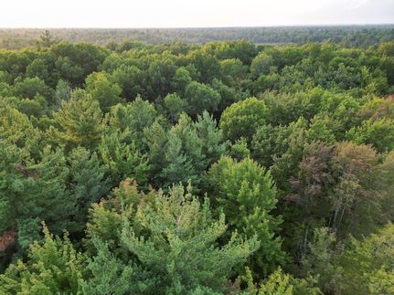 Farm and Ranch for sale in Ogemaw County, Michigan