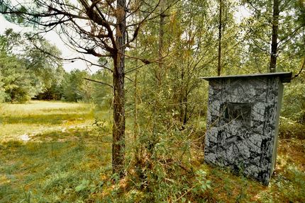 Undeveloped Land for sale in Gadsden County, Florida