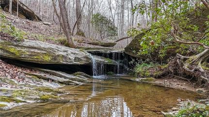Undeveloped Land for sale in Haralson County, Georgia