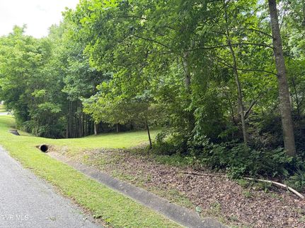 Land for sale in Scott County, Virginia