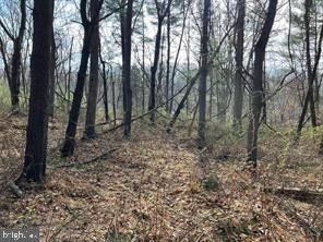 Undeveloped Land for sale in Washington County, Maryland