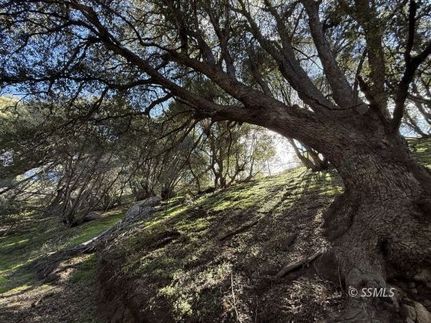Timberland Property for sale in Kern County, California
