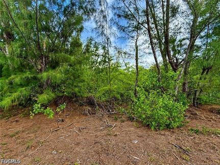 Land for sale in Lee County, Florida