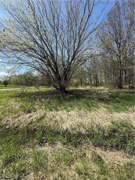 Recreational Property for sale in Wayne County, Ohio
