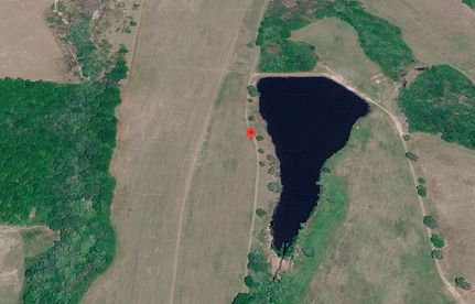 Undeveloped Land for sale in Wilcox County, Georgia
