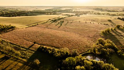 Land for sale in Ottawa County, Kansas