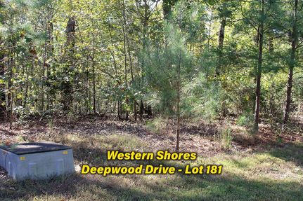 Undeveloped Land for sale in Calloway County, Kentucky