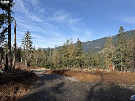 Undeveloped Land for sale in Clackamas County, Oregon