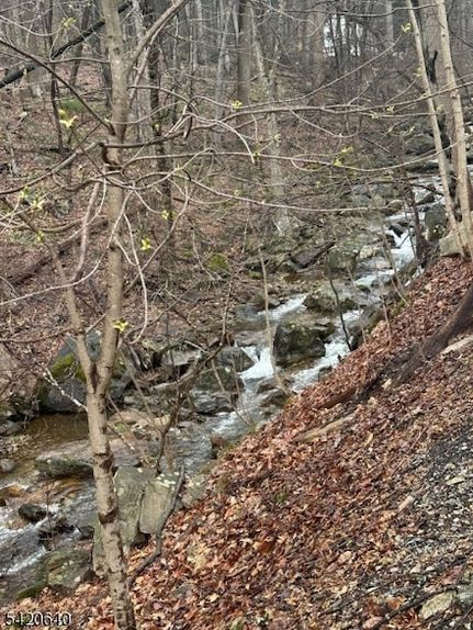 Undeveloped Land for sale in Warren County, New Jersey