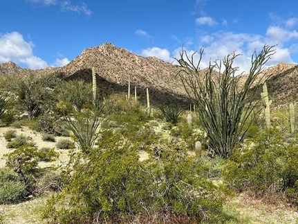 Recreational Property for sale in Pima County, Arizona