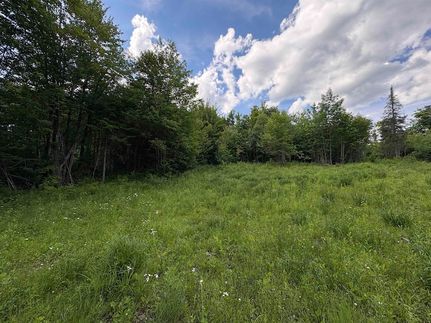 Farm and Ranch for sale in Caledonia County, Vermont