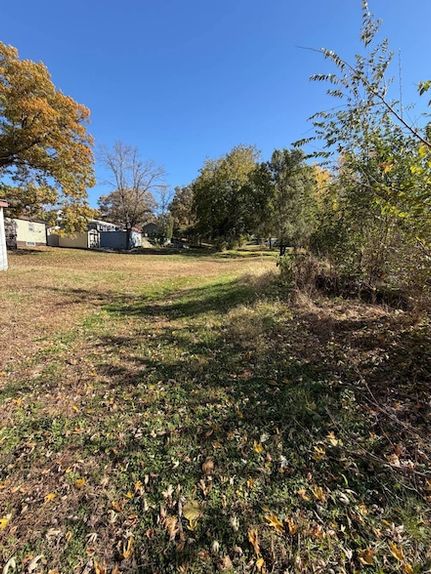 Undeveloped Land for sale in Adams County, Iowa