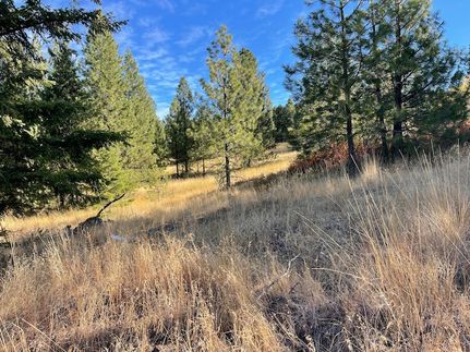 Farm and Ranch for sale in Stevens County, Washington